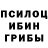 Галлюциногенные грибы Psilocybe sanya k