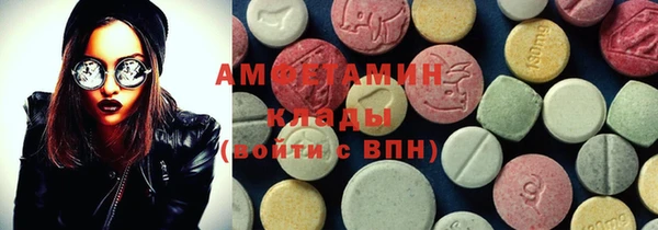 гашик Осинники
