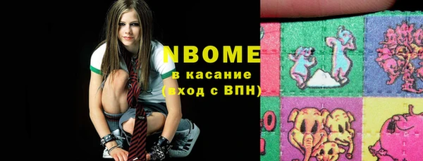 гашик Осинники