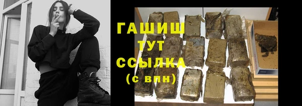 гашик Осинники