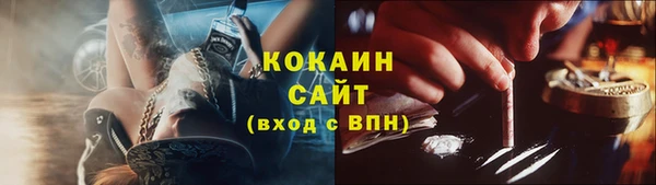 гашик Осинники