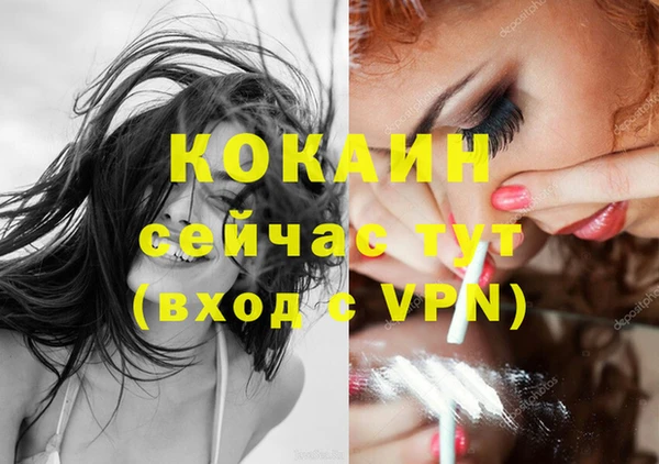гашик Осинники