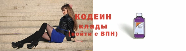 гашик Осинники