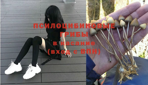 молекула духа Остров