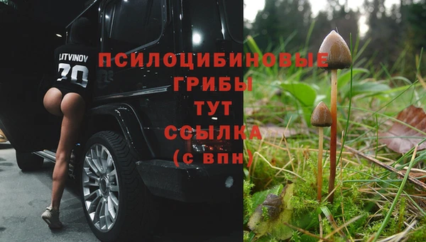 гашик Осинники