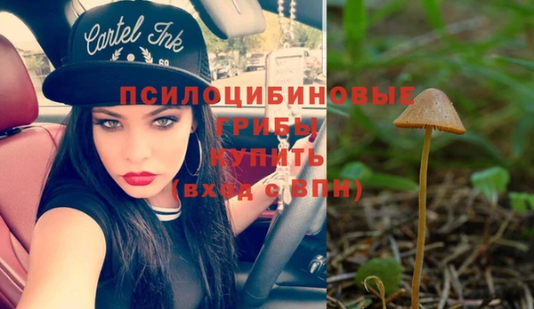 гашик Осинники