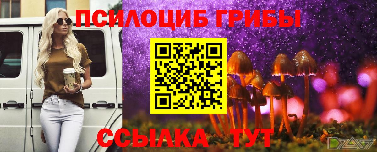 Псилоцибиновые грибы Psilocybe Скопин