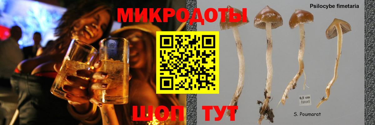Скопин  Псилоцибиновые грибы Psilocybe  Вход с VPN 